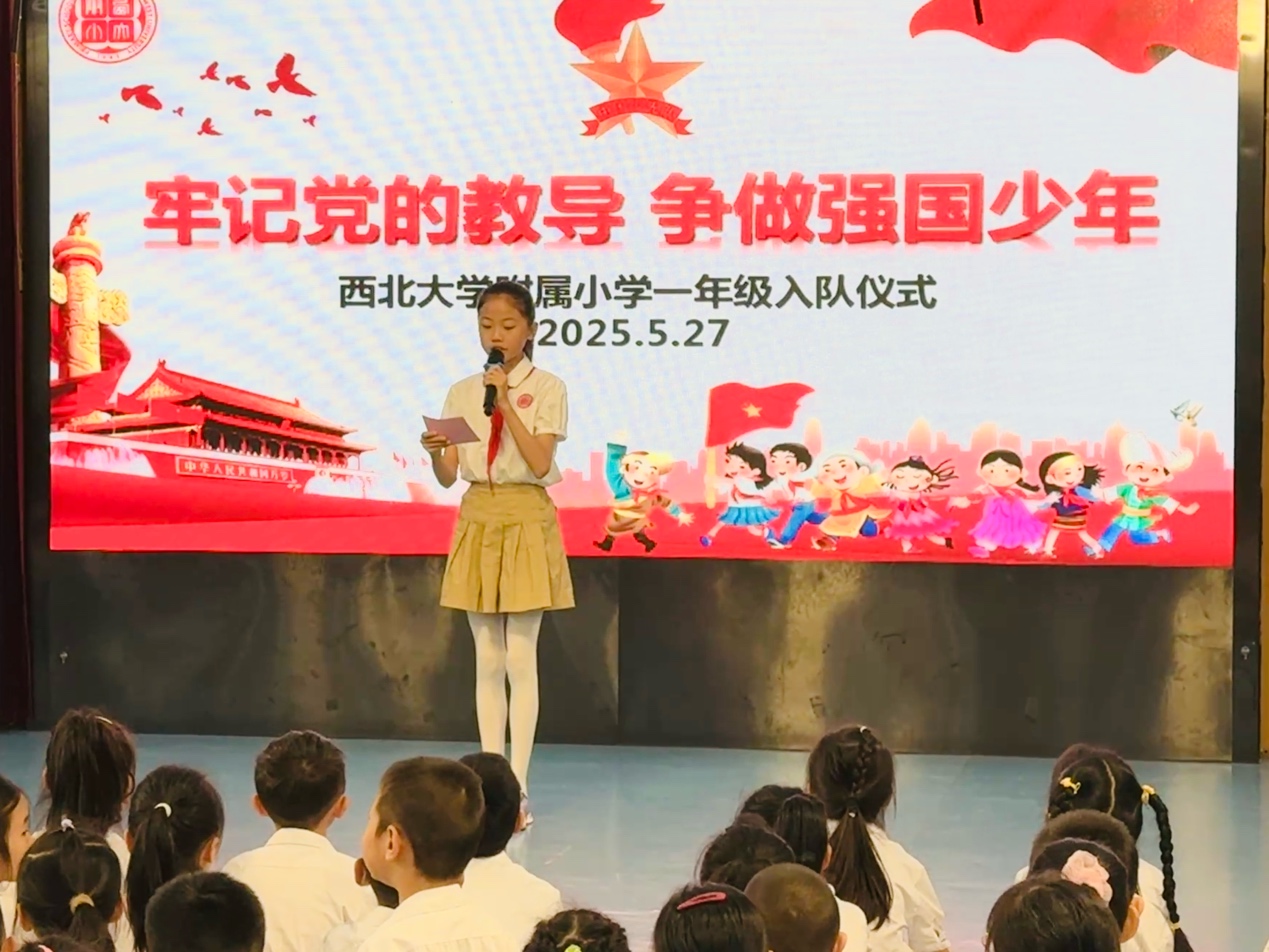 一群人在台上演讲描述已自动生成